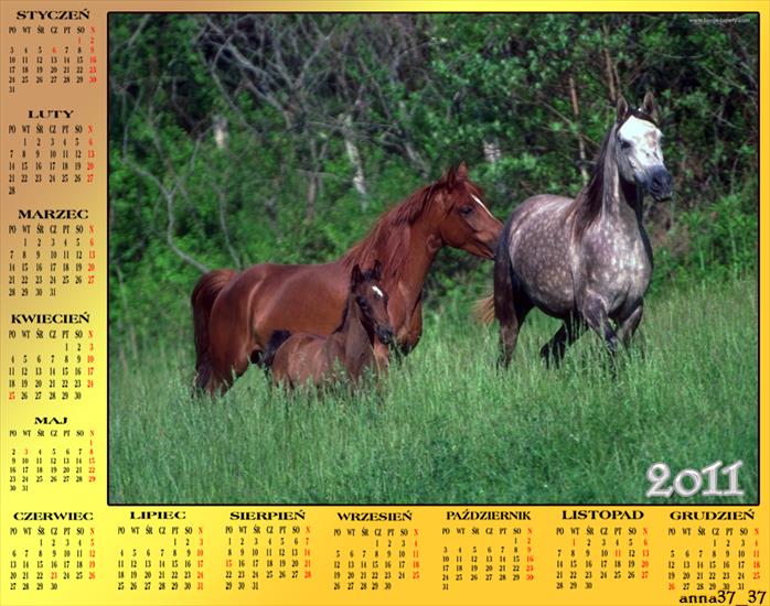 Kalendarz 2011 - anna37_37 591.png
