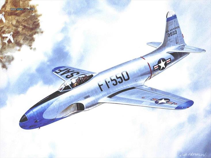samoloty bojowe - Air Combat 145.jpg