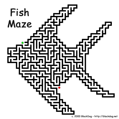 zoo - fish-maze.gif