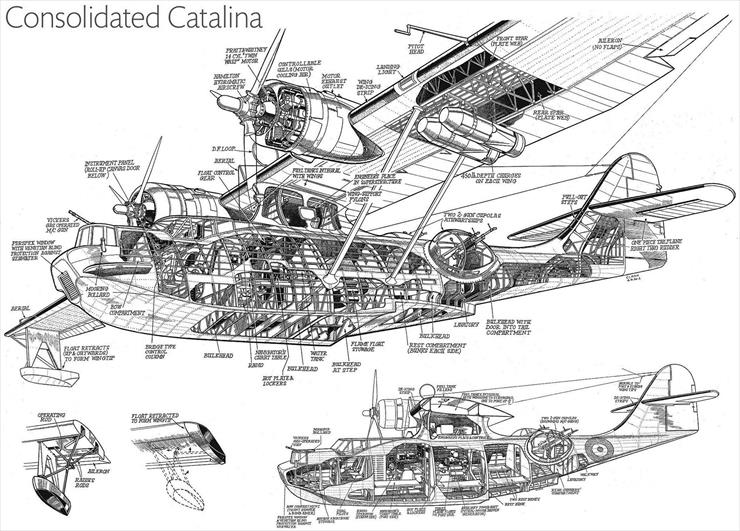 przekroje_3D - Consolidated Catalina.tif