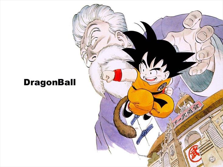 Dragon Ball obrazki 1 - DragonBall22.jpg