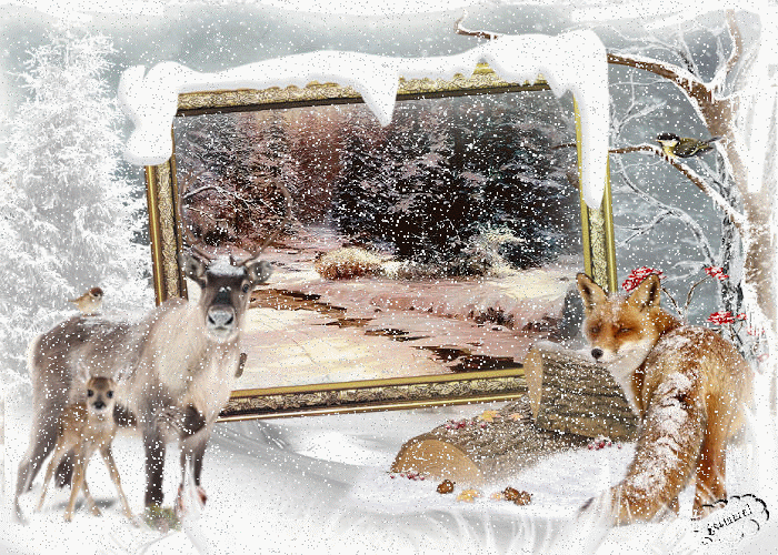 Zimowe - Zwierzęta w zimie.gif