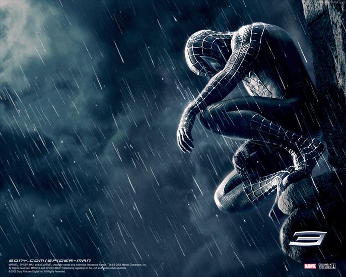 Galeria - tapety_spiderman_041.jpg