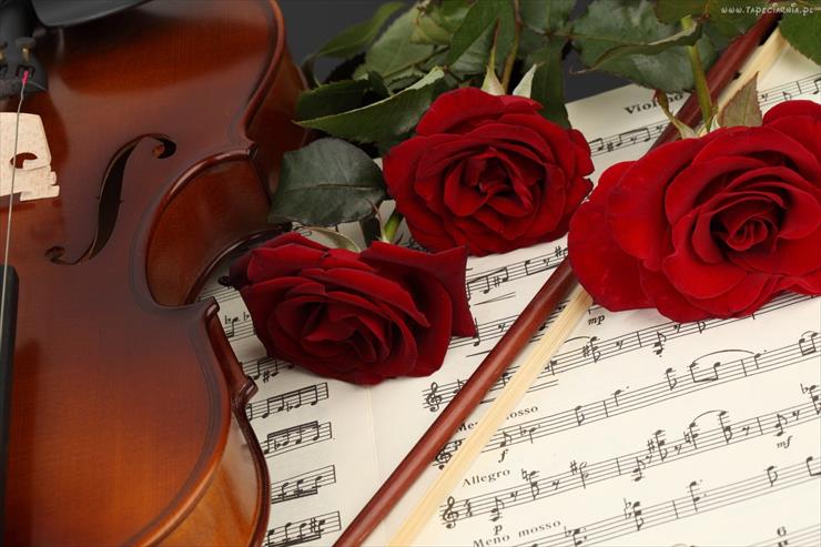 Tapety róże i muzyka - 117266_skrzypce_instrument_muzyczny_nuty_roze.jpg