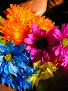 Kwiaty - Flowers1.jpg