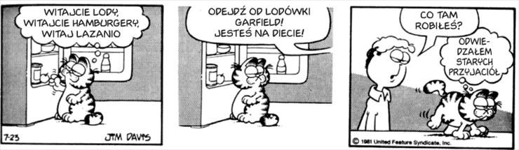 Garfield 1981 - ga810723.gif
