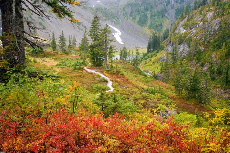 Tapety na pulpit-przepiękne - Heather Meadows, Mount Baker Wilderness, Washington.jpg