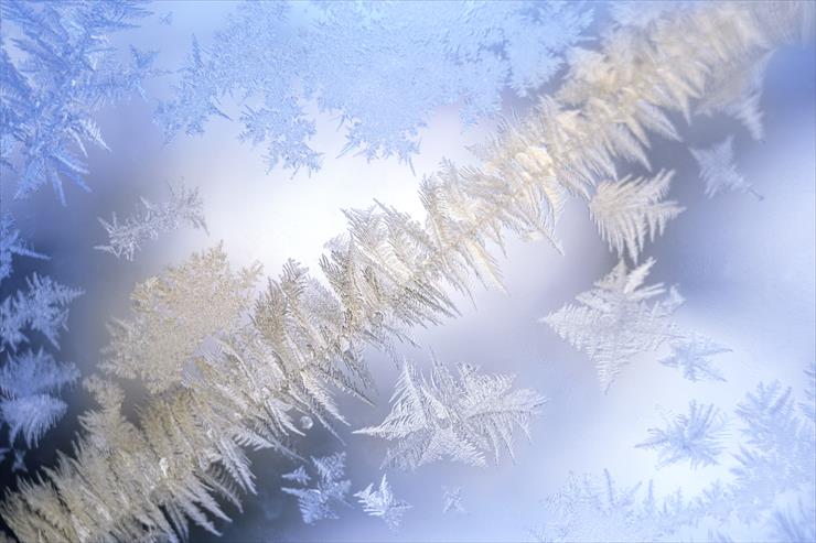 Veer Fancy Photography - Winter Scenery - FAN1006518.jpg