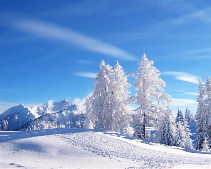 Zima - Winter_Landscape.jpg