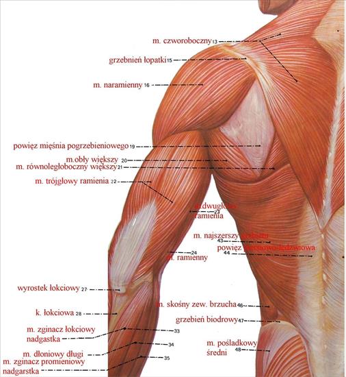 topografia - grp02.jpg