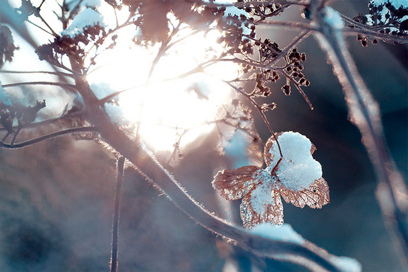 Zima - winter_photography_7.jpg
