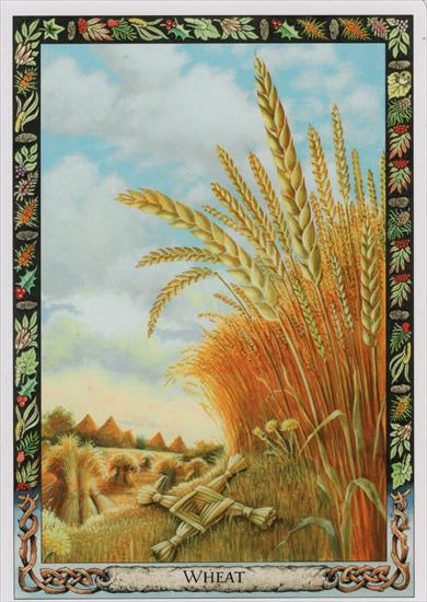 _druid plant oracle - wheat.jpg