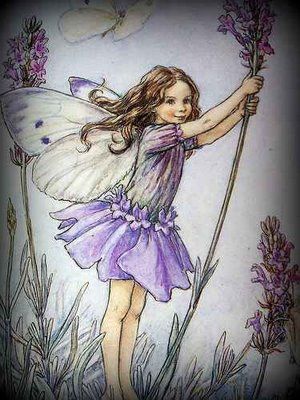 Cicely Mary Barker - Lavender Fairy by Cicely Mary Barker.jpg