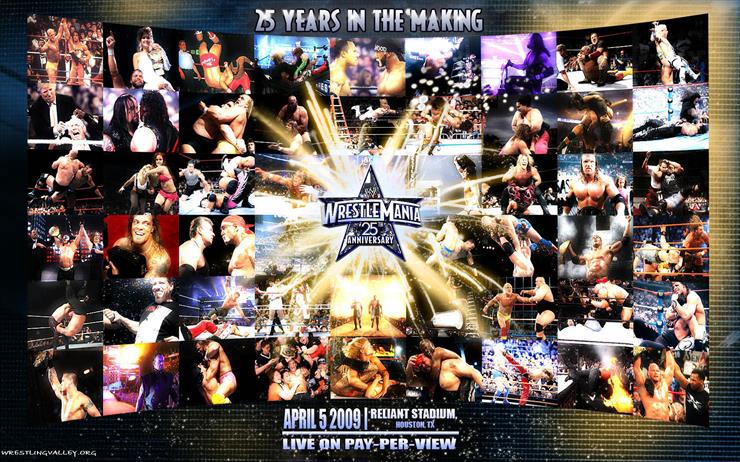 WWE - wrestlemania25-wallpaper-wrestlingvalley1.jpg