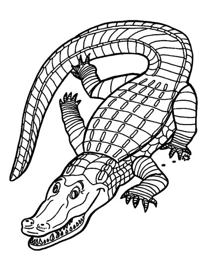 Aligator - aligator - 24.bmp
