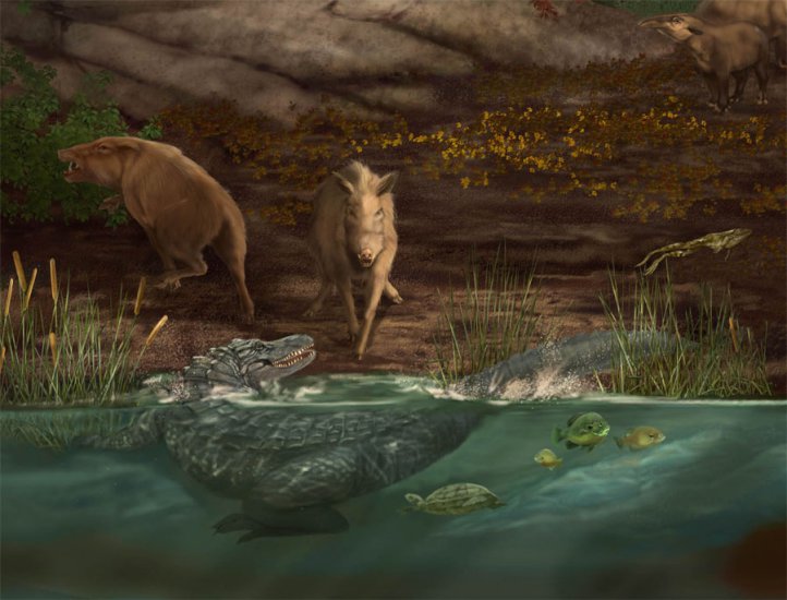  Prehistoria - Gray_Fossil_Miocene_mural_alligator_and_wild_pig_detail.jpg