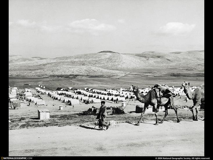 NG09 - Nablus Tent City, West Bank, Israel, 1952.jpg