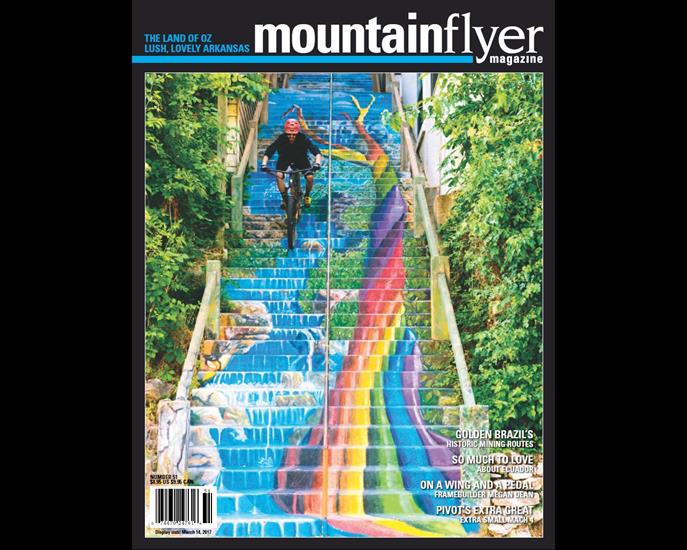 Mountain Flyer - Mountain Flyer - Issue 51, 2016.jpg
