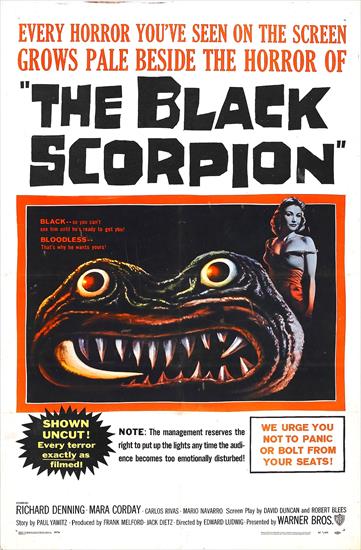 Posters B - Black Scorpion 01.jpg