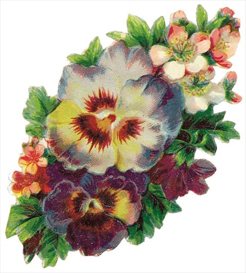 Wzory kwiatowe do decoupage - gallery-ru-22850443.jpg