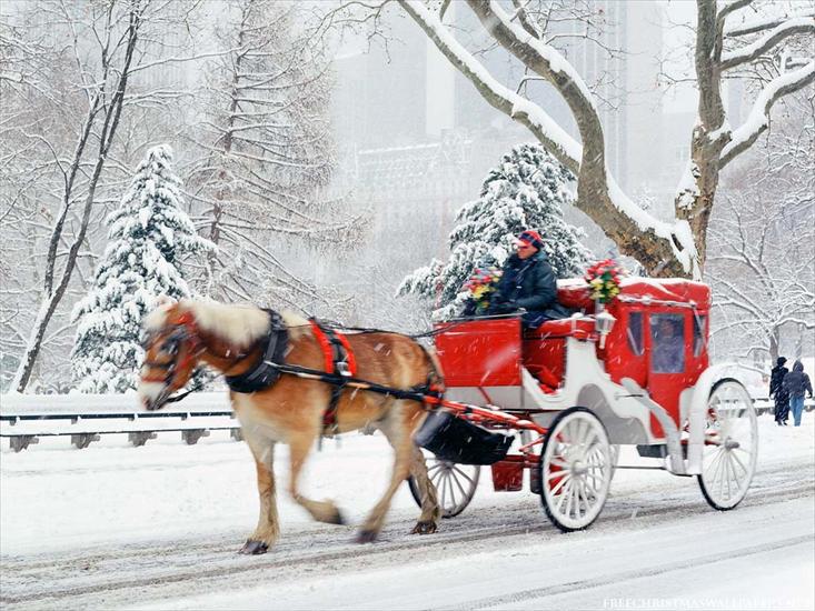dorożki - Horse and Carriage Rides in Central Park 3.jpg
