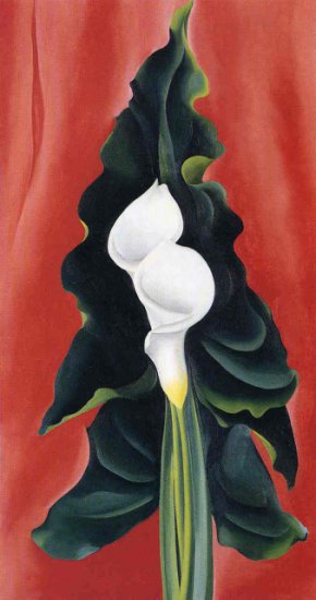 OKeeffe Georgia Totto 1887 - 1986 - White Calla Lily with Red Background.jpg