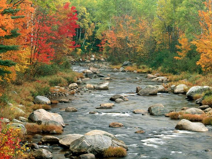 Natura v3 - Autumn Colors, White Mountains, New Hampshire.jpg