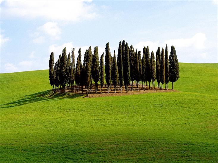 Krajobrazy - Scenic Siena Province, Tuscany, Italy.jpg