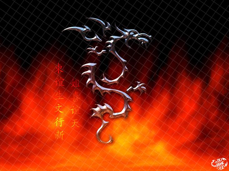 Dragon - WXP  21.jpg