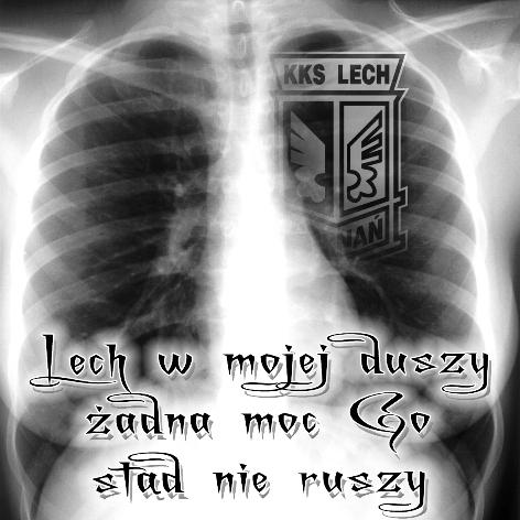 Lech Poznań - tapeta2GVKG 1.bmp