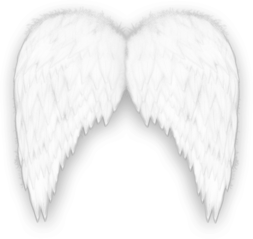 skrzydła i anioły - DYB_wings1_cbj.png