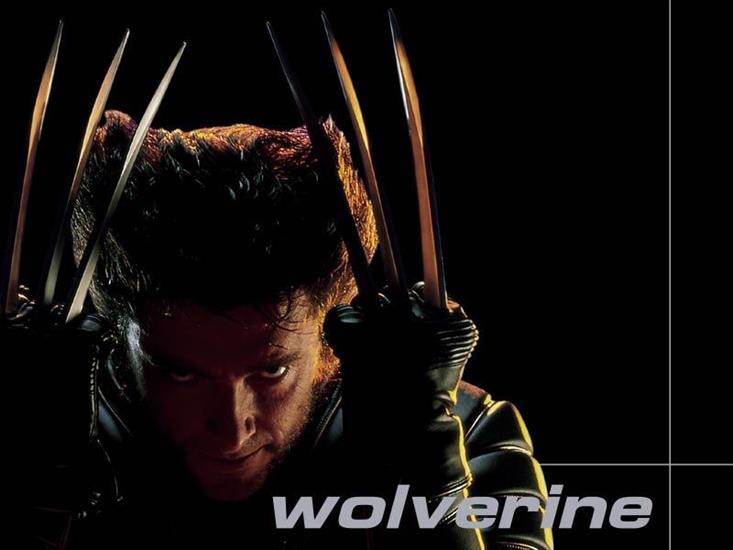 Filmy i Seriale - Wolverine.jpg