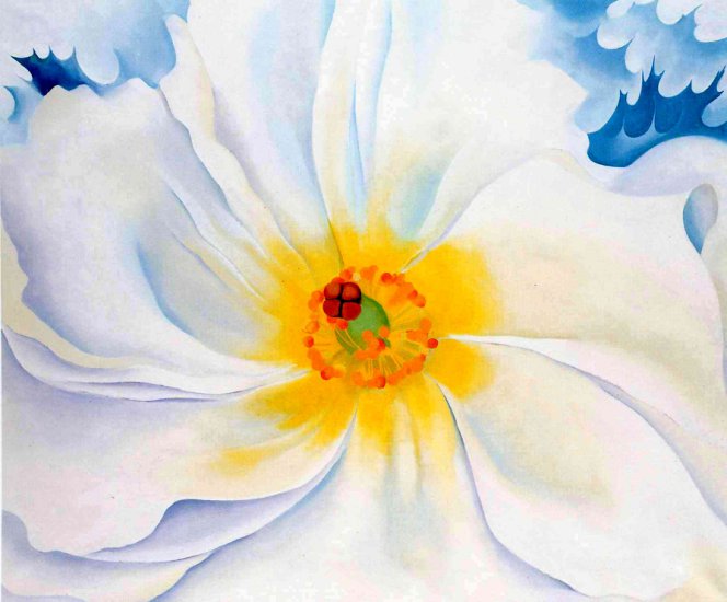OKeeffe Georgia Totto 1887 - 1986 - White Flower.jpg