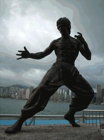 Tapety i Zdjecia z Bruce Lee - Bruce Lee 8.gif