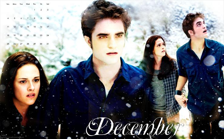kalendarz 2011 - december2011.jpg