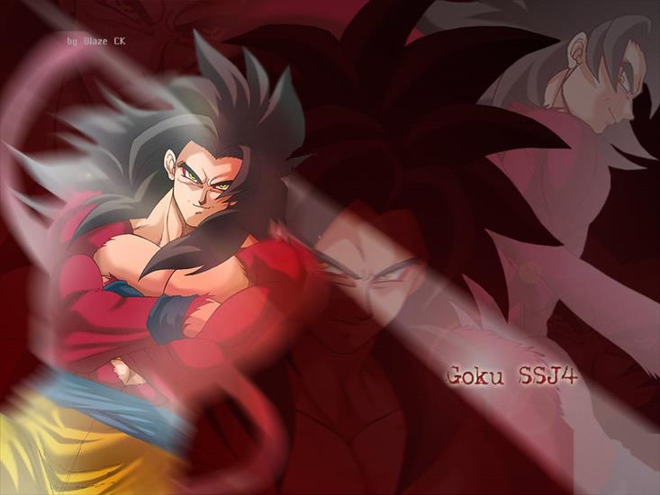 Dragon Ball - Son Goku SSJ4.jpg