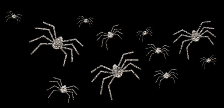 Zwierzęta - JTsDesignsAHE_Spiders.png