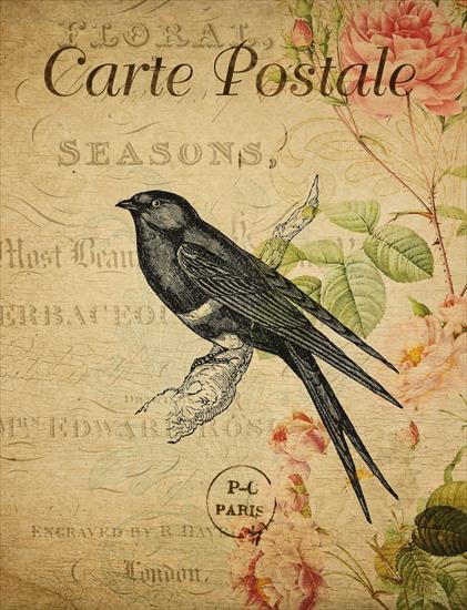 POSTCARD VINTAGE - vintage-postcard-bird-flowers.jpg