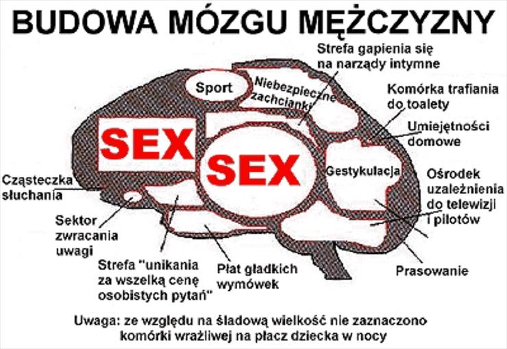 DLA MESZCZYZN - mzg_meski.jpg