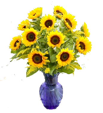  bukiety - sunflowers-1.png