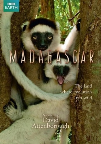 Przyroda Madagaskaru -  Przyroda Madagaskaru 2011-Madagascar.jpg
