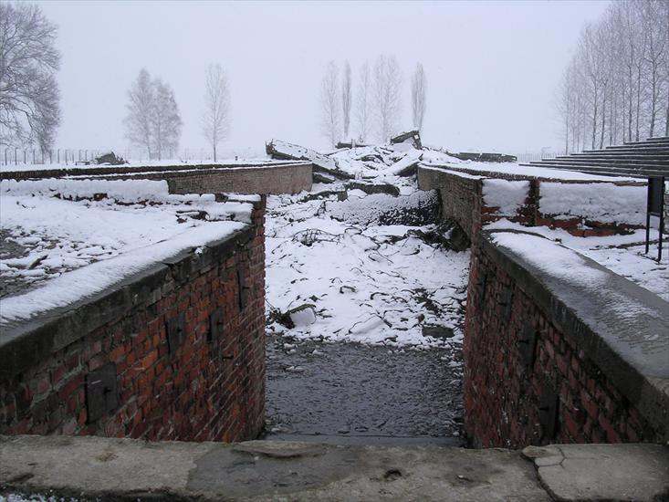 Auschwitz - Birkenau - 08 et 09.02.2004 - 054 - Auschwitz-Birkenau.jpg