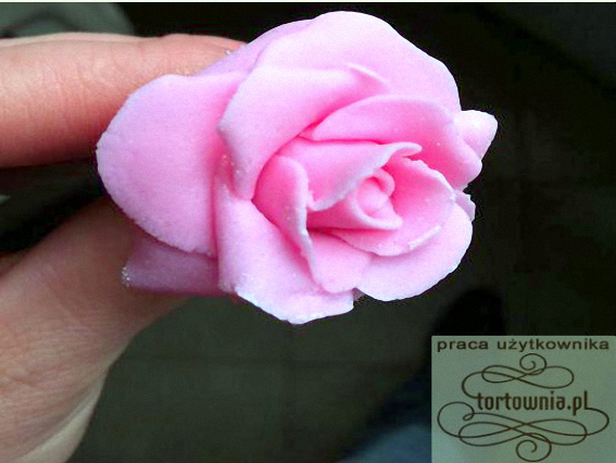 Jak Zrobić Figurki Na Tort - kwiat 4.bmp