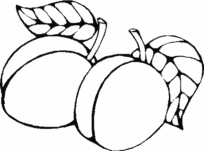 owoce1 - abricot2.gif