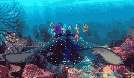RUCHOME OBRAZKI 3D I NIE TYLKO - ocean-creatures-animais-8716.gif