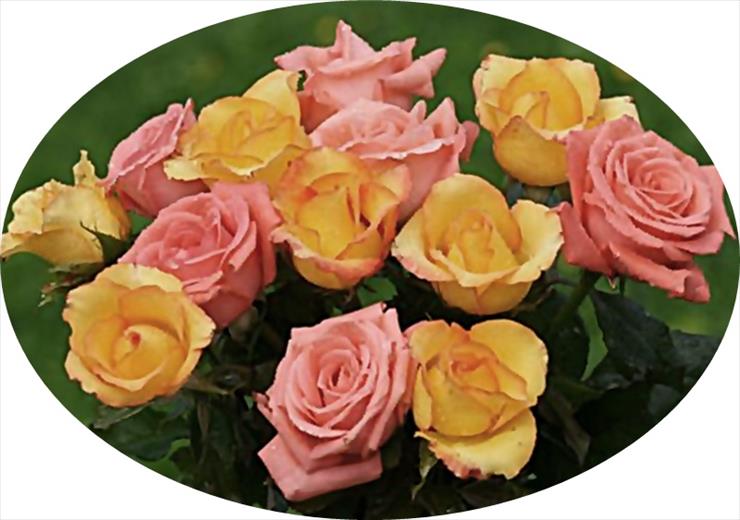 bukiety 5 - large_rose_bouquet-dsc00950-a1-crop.jpg