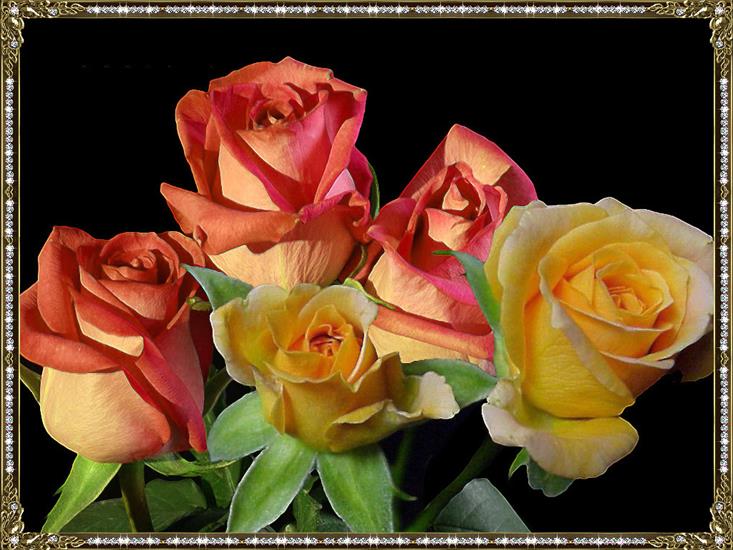 kwiaty   róże - d39c8c7f0160.jpg