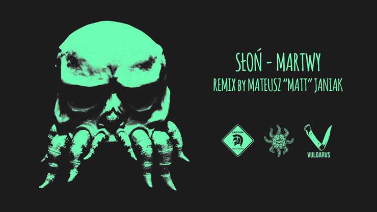 Słoń - BDF Brain Dead Familia Metal Matt Remix 2015 .wav - Słoń - BDF Brain Dead Familia Metal Matt Remix 2015 .wav.jpg