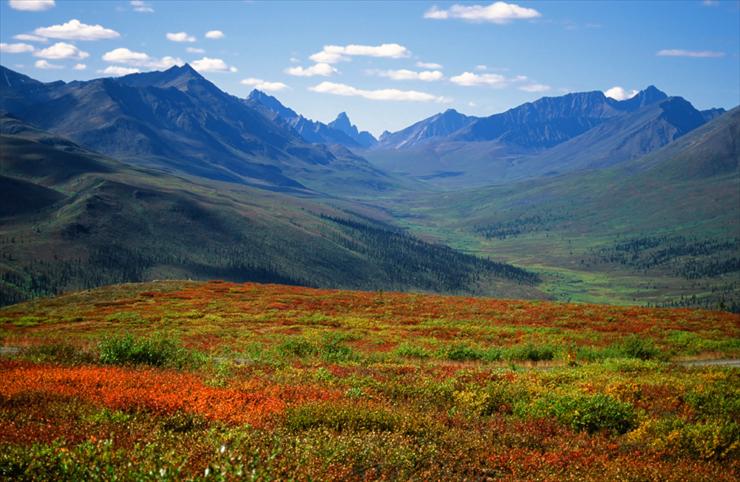 Yukon - yukon_landscape.jpg