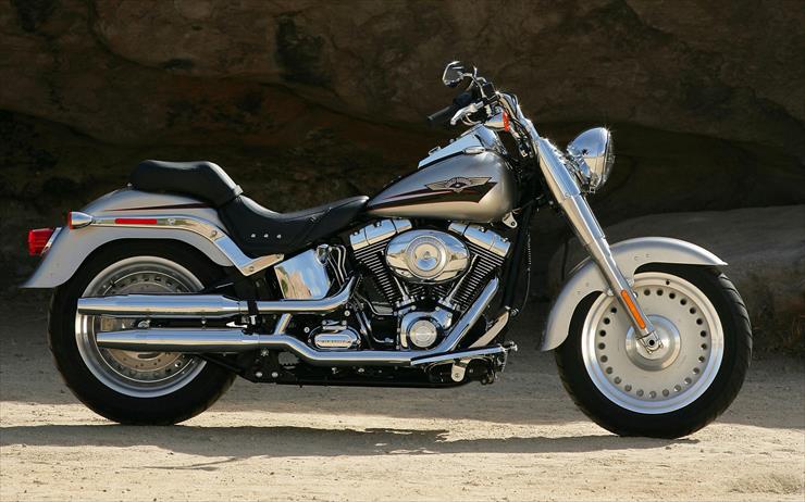 116 Bike Wide Wallpapers - Harley 2.jpg